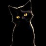 Felix's profile picture