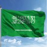 Profilbild von عاشق لوطني