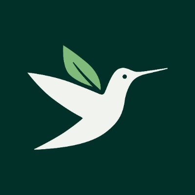 ABCbirds's profile picture