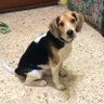 Rodo Delgado profil fotoğrafı