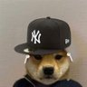 YankeeDAWG 的头像