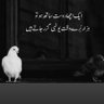 Фото профиля Manzar Abbas Dhudhi