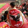 Mahmoud Abdelaziz 的头像