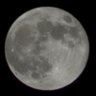 Moon Man profil fotoğrafı