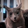 Фото профиля than