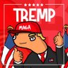 Profilbild von Doland Tremp CTO