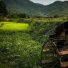 โจรมันรักจริง profil fotoğrafı