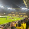 Profilbild von tubesenf_bvb