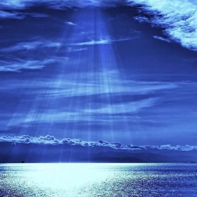 furukawa_m369's profile picture