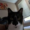 Techguy's profile picture