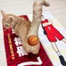 Sachi_K(さち) profil fotoğrafı