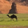 Фото профиля نــوّاف