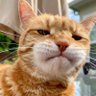 BGKSA's profile picture