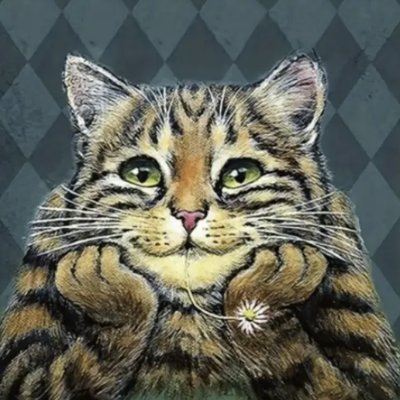 darter666's profile picture