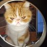 Malex profil fotoğrafı