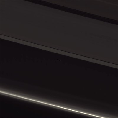 maxwell neely-cohen's profile picture