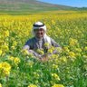 محمد الصافي profil fotoğrafı