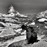 Mohd Farid profil fotoğrafı