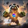 HulkOnBudget profil fotoğrafı