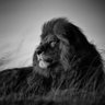 Фото профиля gautham kumar