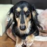 Aléxios profil fotoğrafı