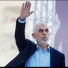 محمد ابو رعد's profile picture