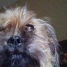 Profilbild von Bad moose