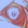 Yondr's profile picture