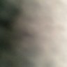 no one's profile picture