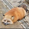 พรีมจี้(พจน์มานมาแล้วค่ะ)'s profile picture
