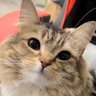 ❓ profil fotoğrafı
