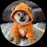 $DOGcoin's profile picture