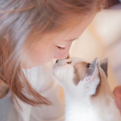 anny tanabe's profile picture