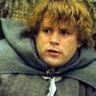 Profilbild von Samwise Gambling