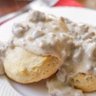 BiscuitGravy2024 的头像