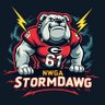 Lyerly NWGA Storm Dawg 的头像