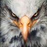Beşiktaş'ın peşinde..🦅🦅🦅's profile picture