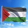 Ali Seydi Gültekin's profile picture