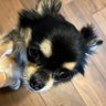 真実を届けてくれてありがとう！ profil fotoğrafı