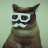 Nathan Algren 🇺🇸 🐈 的头像