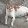 HiHi profil fotoğrafı