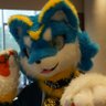 Peluño圣光🔜?'s profile picture