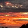 Фото профиля ObservadorLondrina