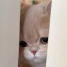 หนึ่ง ส่อง ส้ม!'s profile picture