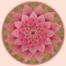Prasād | प्रसाद's profile picture