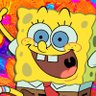 The Spongy Construction Project's profile picture