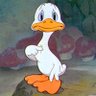 Вася Уткин's profile picture