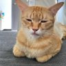 a's profile picture