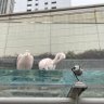 水 的头像