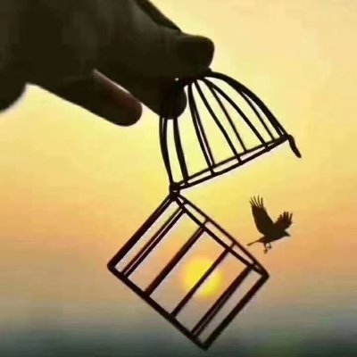 hei68077's profile picture